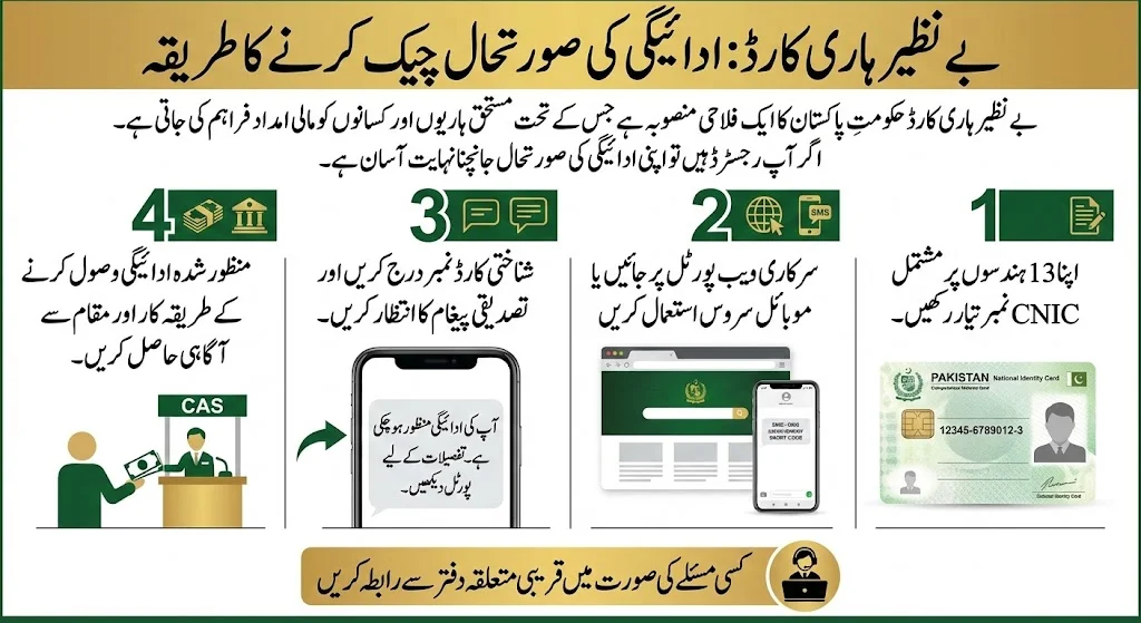 Benazir Hari Card: Payment Checks